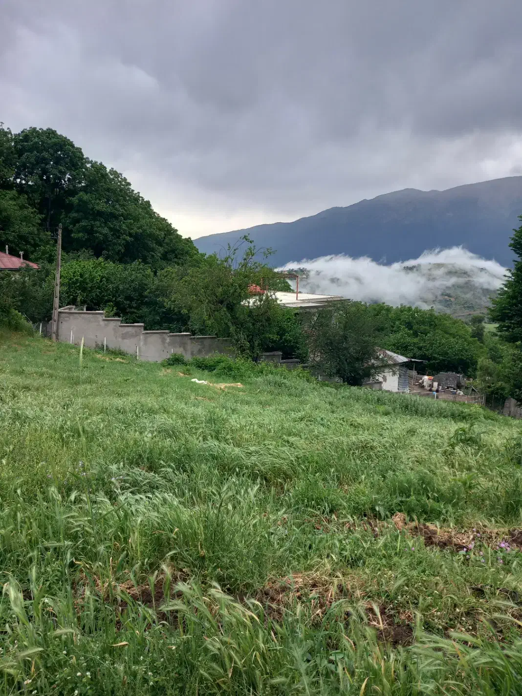 فروش زمین در آمارو شیرکده|فروش زمین و ملک کلنگی|بره‌سر, |دیوار