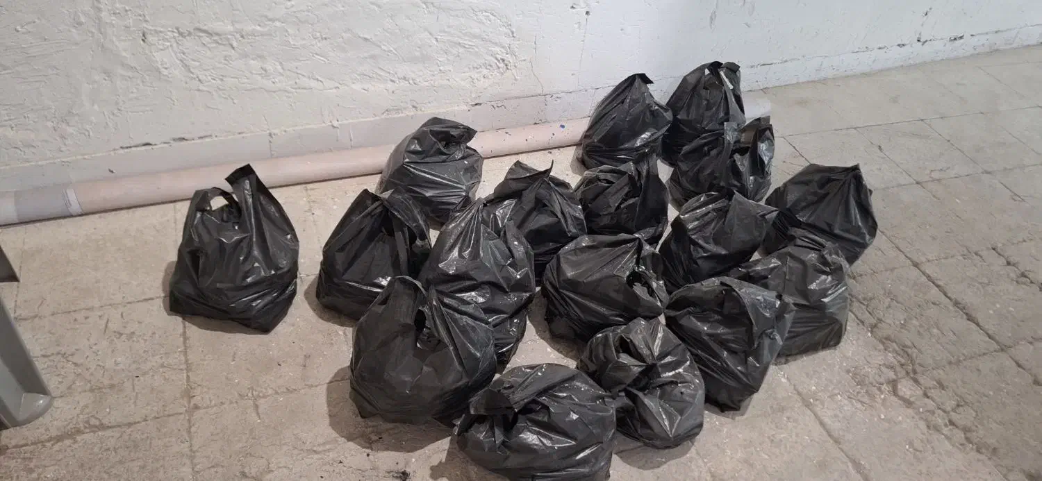 زغال کباب و قلیان|کوهنوردی و کمپینگ|لامرد, |دیوار