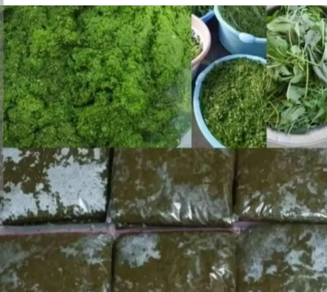 انواع سبزی خورشتی|خوردنی و آشامیدنی|رامهرمز, |دیوار