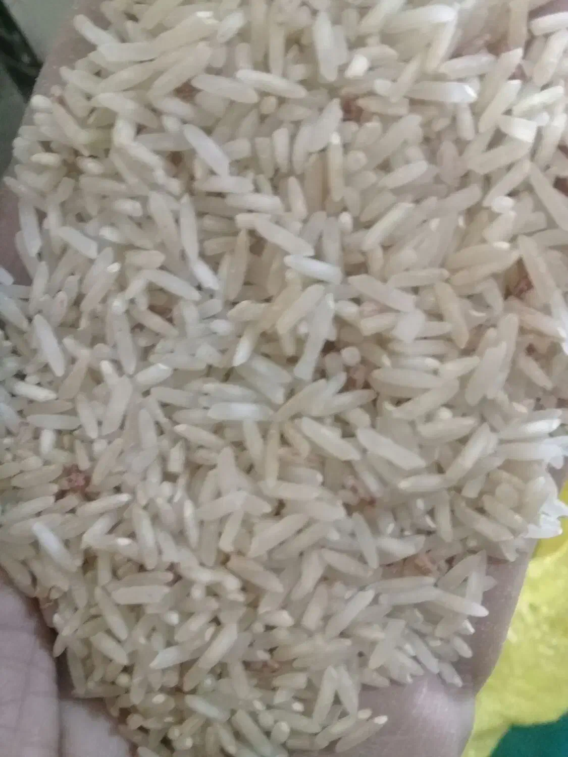 برنج علی کاظمی سرابکلان|خوردنی و آشامیدنی|سیروان, |دیوار