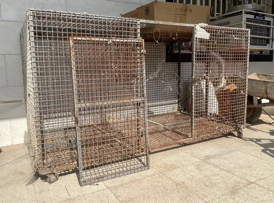 قفس آهنی مرغ و کبوتر|لوازم جانبی حیوانات|خرمشهر, |دیوار