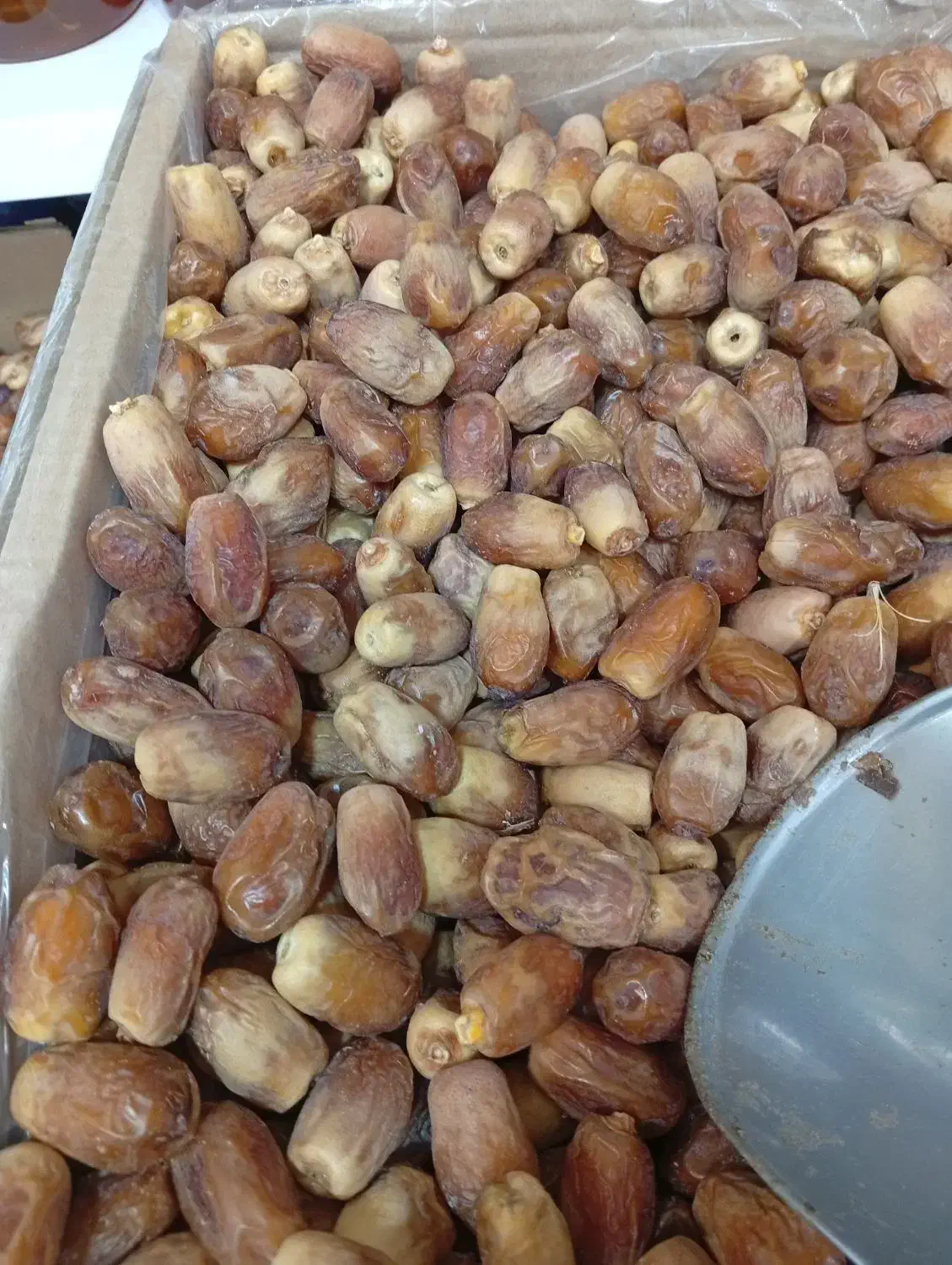 خرما|خوردنی و آشامیدنی|تهران, سلسبیل جنوبی|دیوار