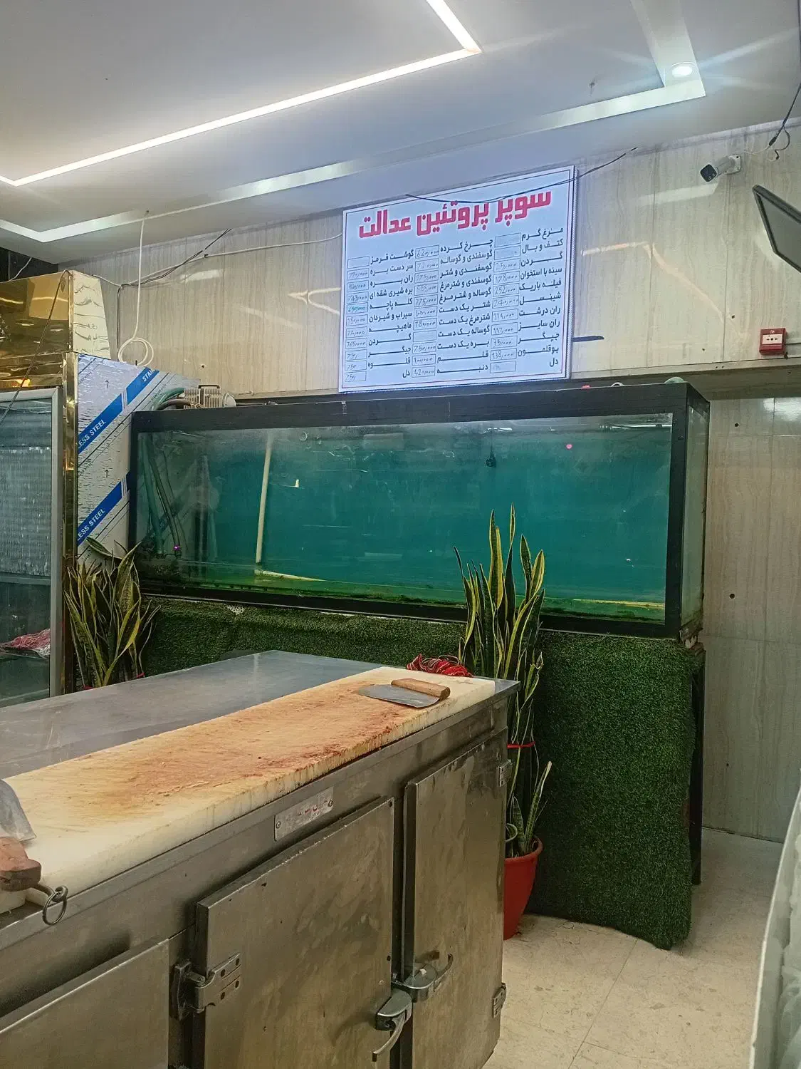 آکواریوم قزل با همه امکانات|ماهی|اصفهان, صدف|دیوار