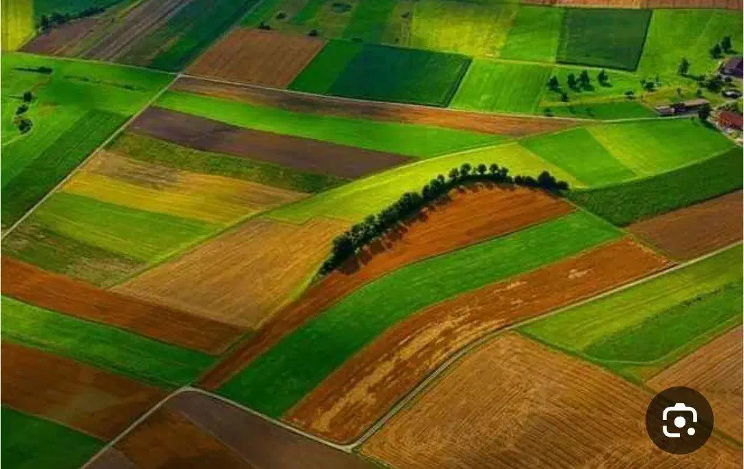 رهن۸۰من زمین دیم واسه کشت نخود|اجارهٔ دفتر صنعتی، کشاورزی، تجاری|خاوه, |دیوار