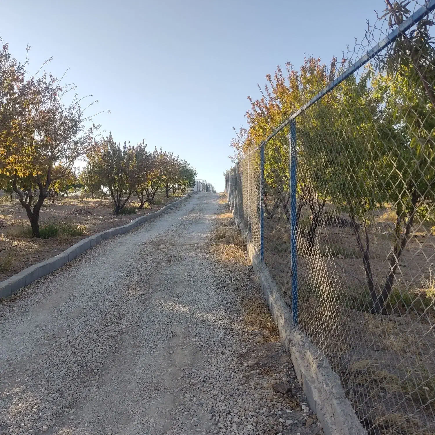 باغ فنس کشی شده|فروش خانه و ویلا|سامان, |دیوار