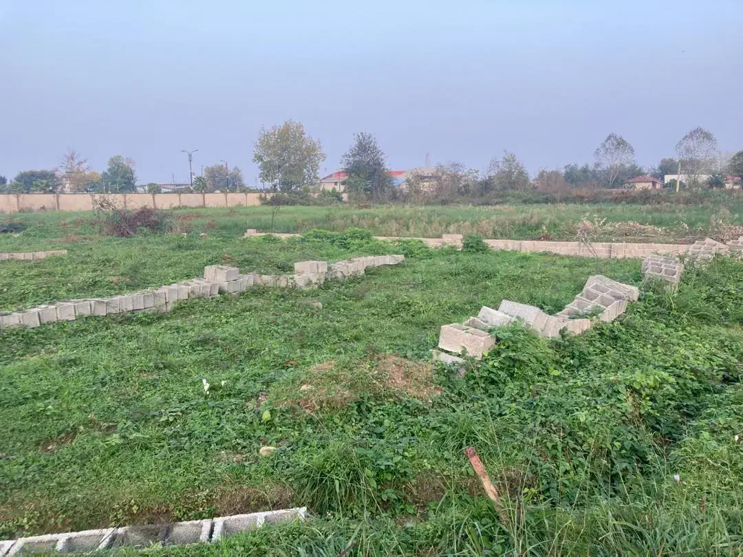 فروش زمین ۲۲۰ متر پشت فرودگاه|فروش زمین و ملک کلنگی|رشت, کوی یخ|دیوار