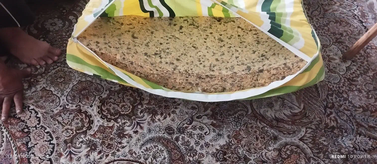 دو تا تشک خوشخواب طبیعی یک نفر|تشک تختخواب|شیراز, سینما سعدی|دیوار