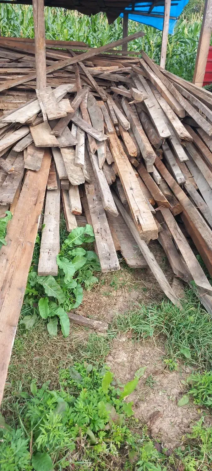 چوب رایگان|عمدهفروشی|ماسال, |دیوار