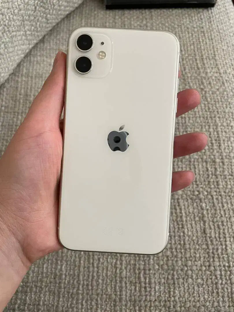 گوشی آیفون ۱۱|موبایل|فردیس, منظریه|دیوار