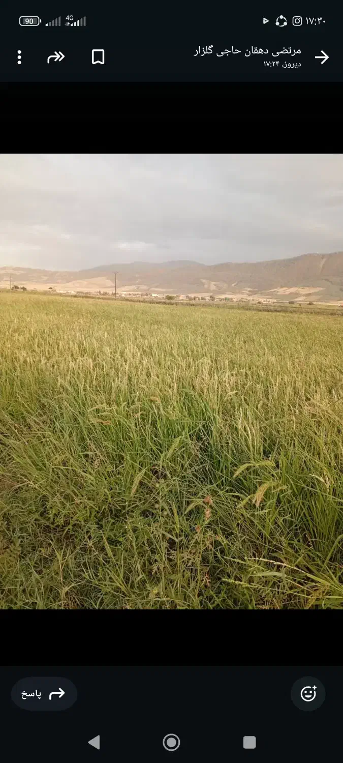 زمین کشاورزی|فروش زمین و ملک کلنگی|مینودشت, |دیوار