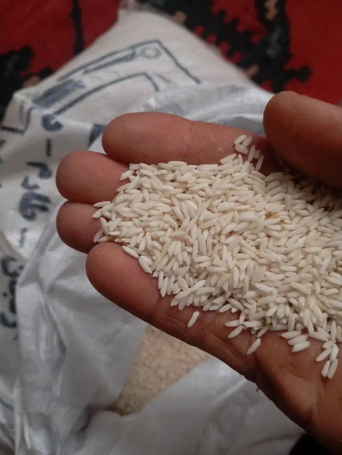 فروش فوری برنج|عمده‌فروشی|گیلوان, |دیوار