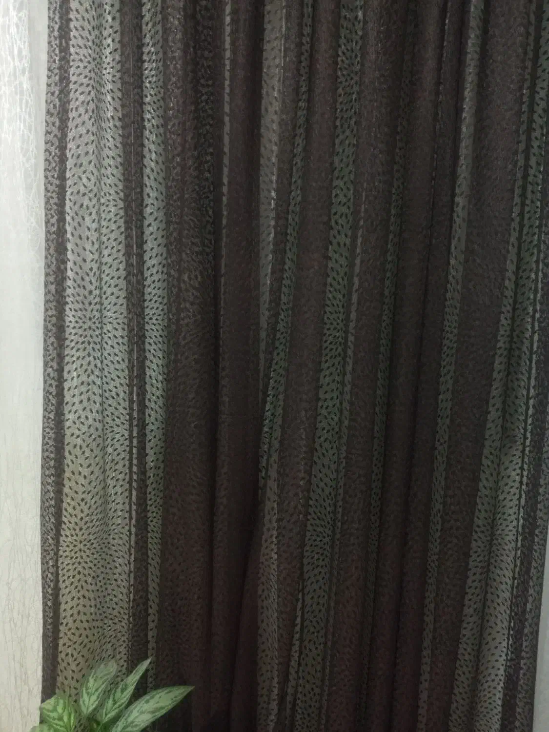 پرده سالن|پرده، رانر، رومیزی|کرمانشاه, |دیوار