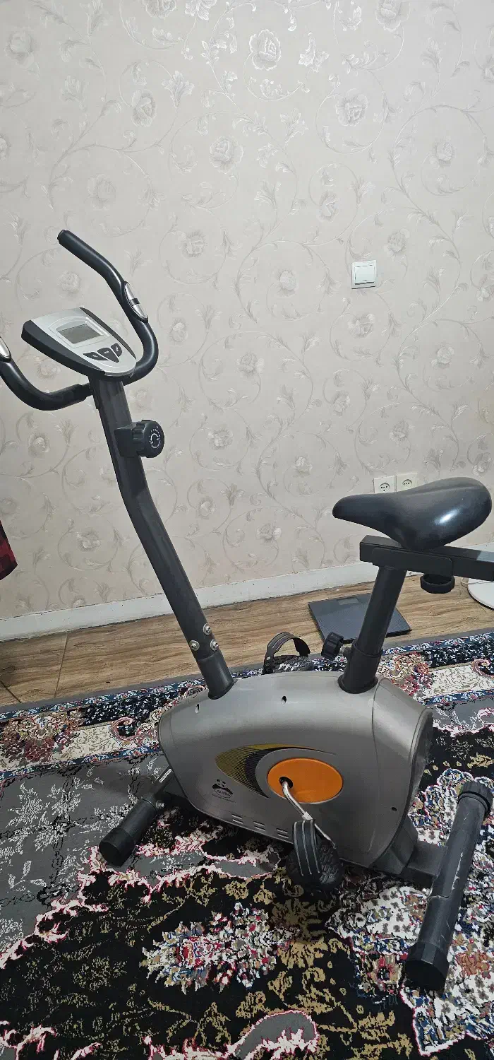 دوچرخه ثابت پاندا  در حد نو|تجهیزات ورزشی|قزوین, |دیوار