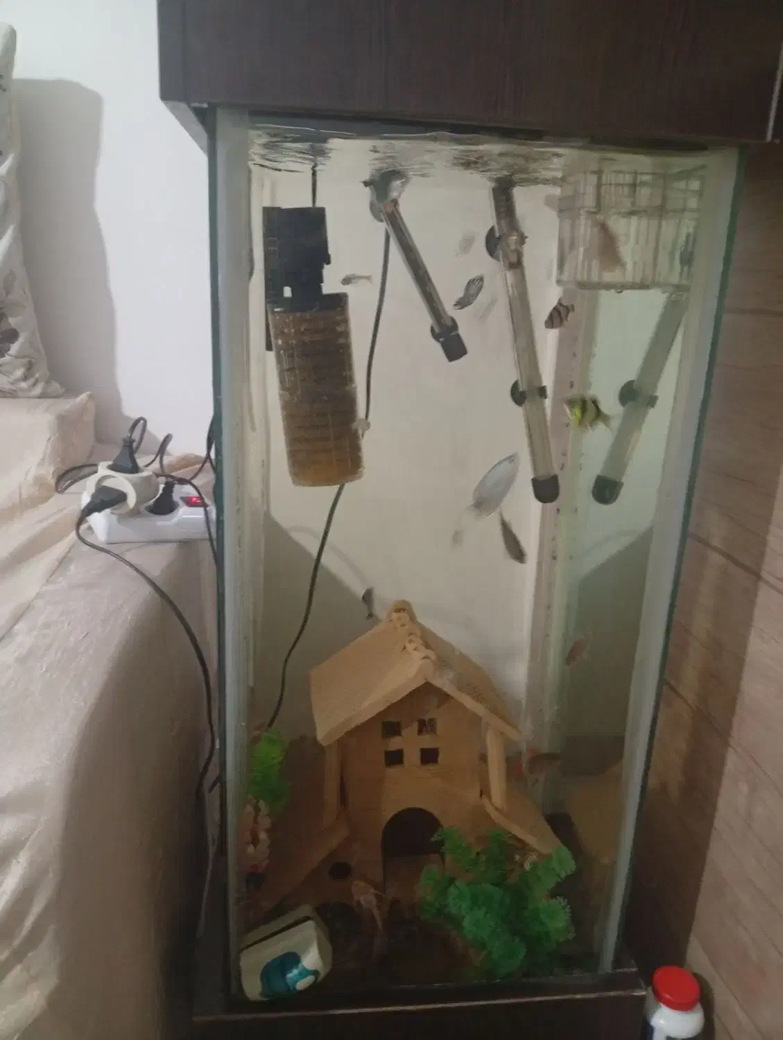 آکواریوم|ماهی|شیراز, درکی|دیوار