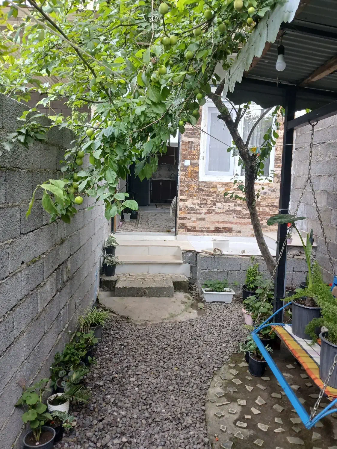 اجاره سویت|اجارهٔ کوتاه‌مدت آپارتمان و سوئیت|کلاچای, |دیوار