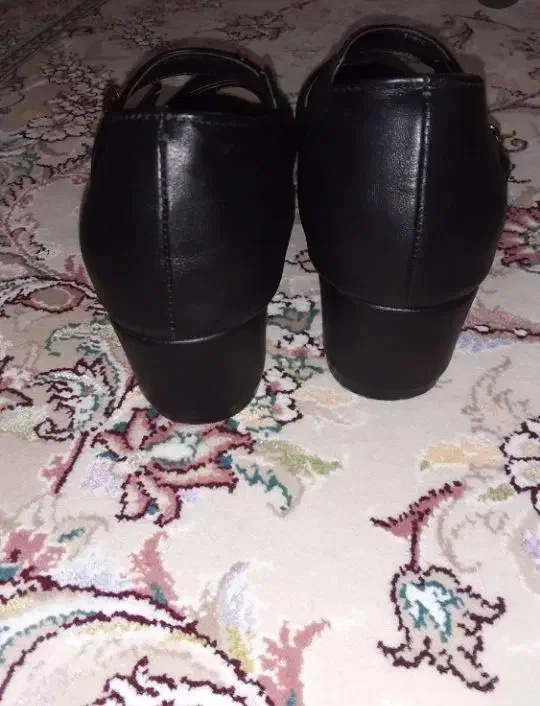 کفش مجلسی نو در تربت حیدریه.|کیف، کفش، کمربند|تربتحیدریه, بالا ولایت|دیوار