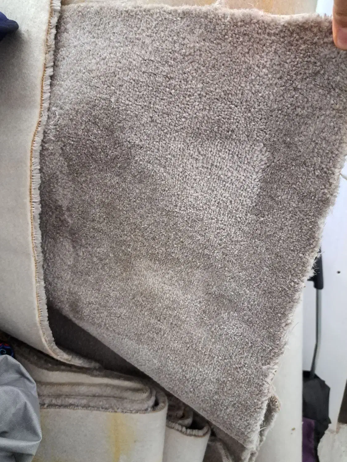 موکت و لوازم خانه و کودک|موکت|رشت, فلسطین|دیوار