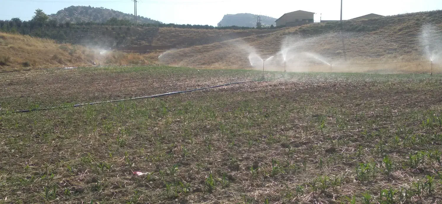 فروش فوری زمین کشاورزی آبی سد هاله|فروش دفتر صنعتی، کشاورزی، تجاری|کوهدشت, |دیوار