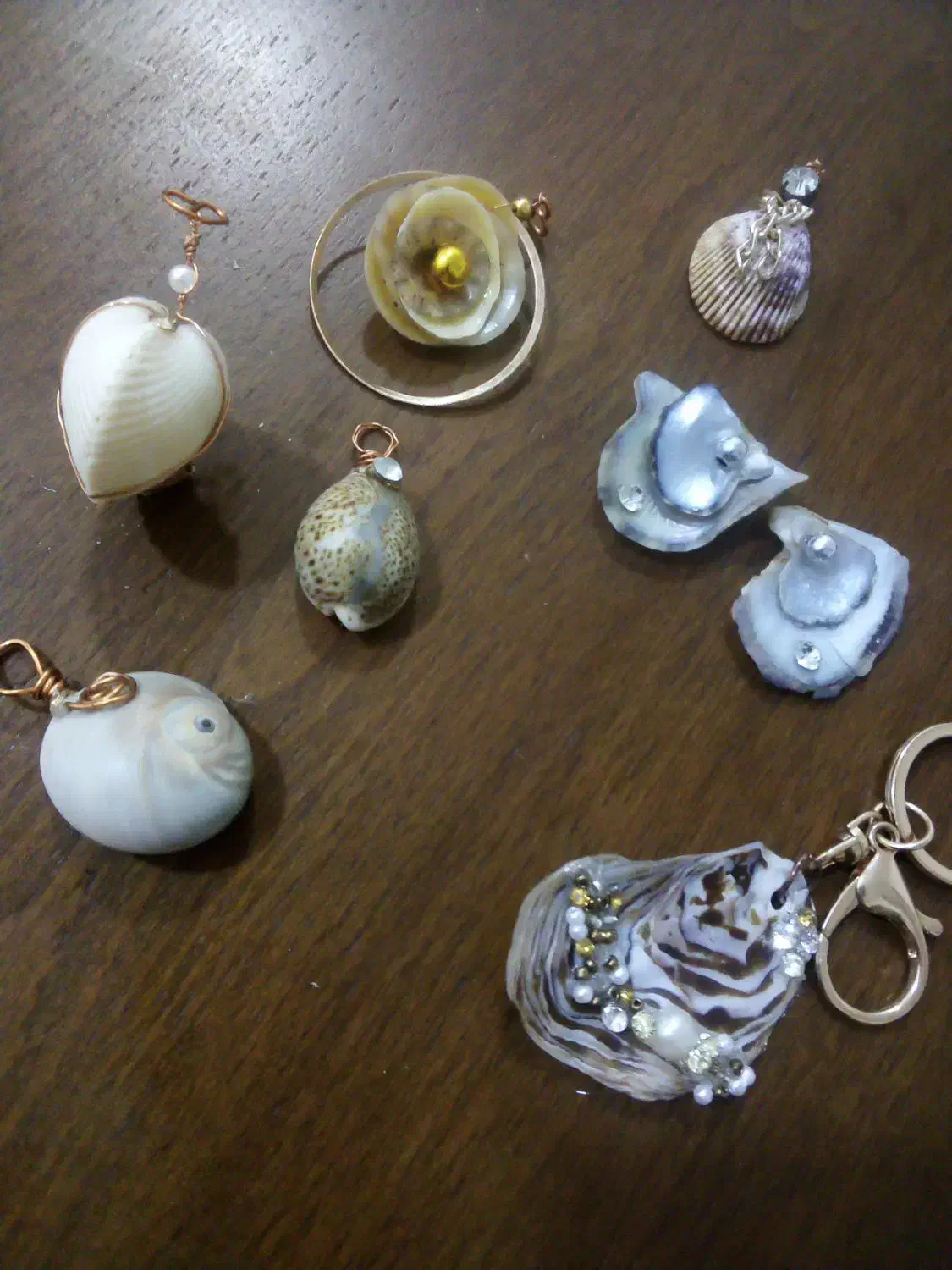 وسایل صدفی|بدلیجات|بندرعباس, |دیوار