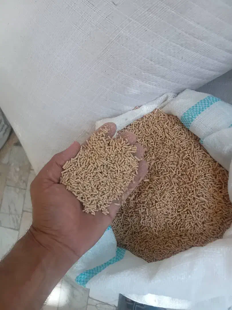 خرید وفروش دان پارس و  گندم|لوازم جانبی حیوانات|گرگان, |دیوار