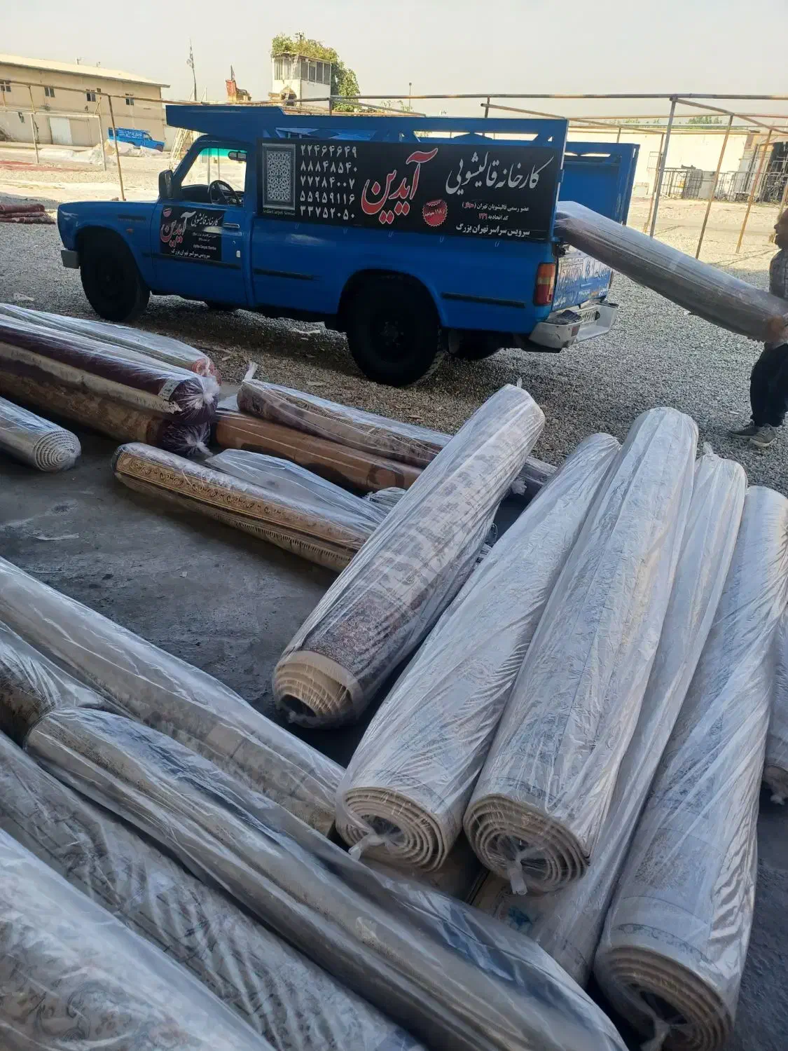 قالیشویی آیدین عضو رسمی اتحادیه قالیشویان کد 231|خدمات نظافت|تهران, نیروی هوایی (پیروزی)|دیوار