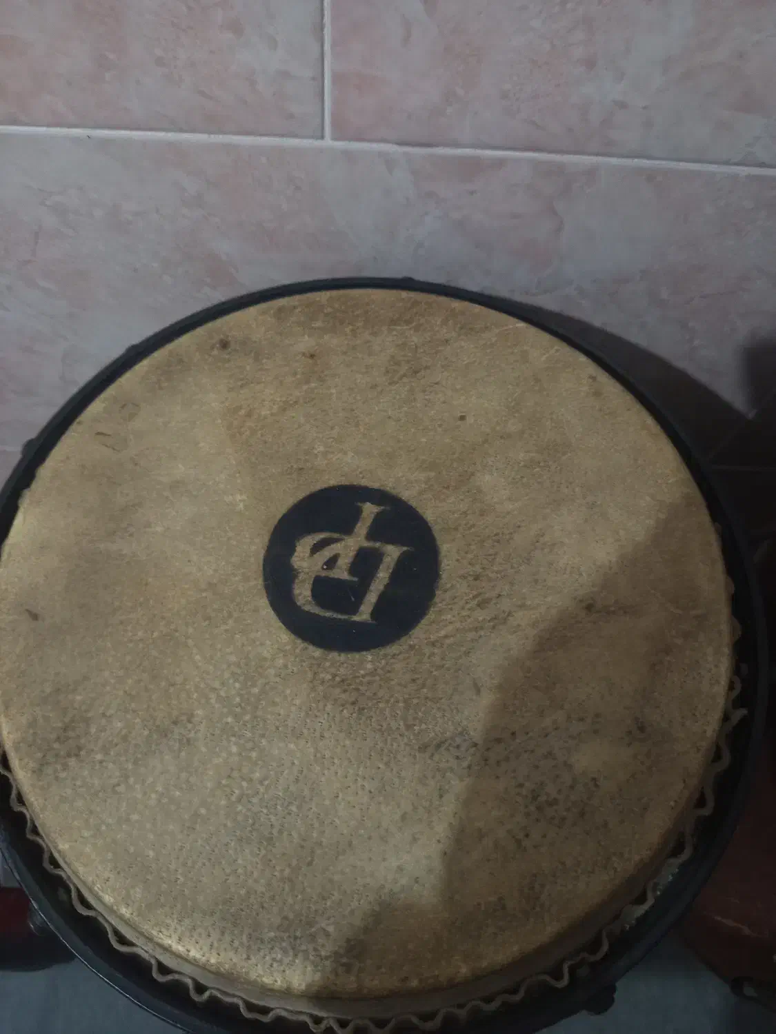 تومبا ست دوتکه|درام و پرکاشن|بندرعباس, |دیوار