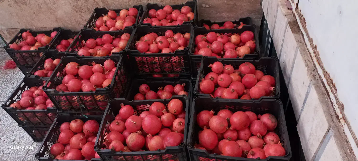 انار لرستان به شرط شیرین، خوش رنگ،(کیلو ۶۵۰۰۰)|خوردنی و آشامیدنی|قم, شهرک سازمان آب|دیوار