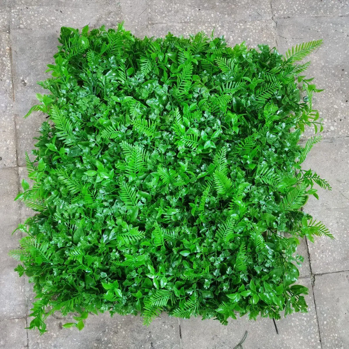 طراحی فروش و نصب چمن مصنوعی گرین وال.فنس چمنی برگی|خدمات باغبانی و درختکاری|رویان, |دیوار