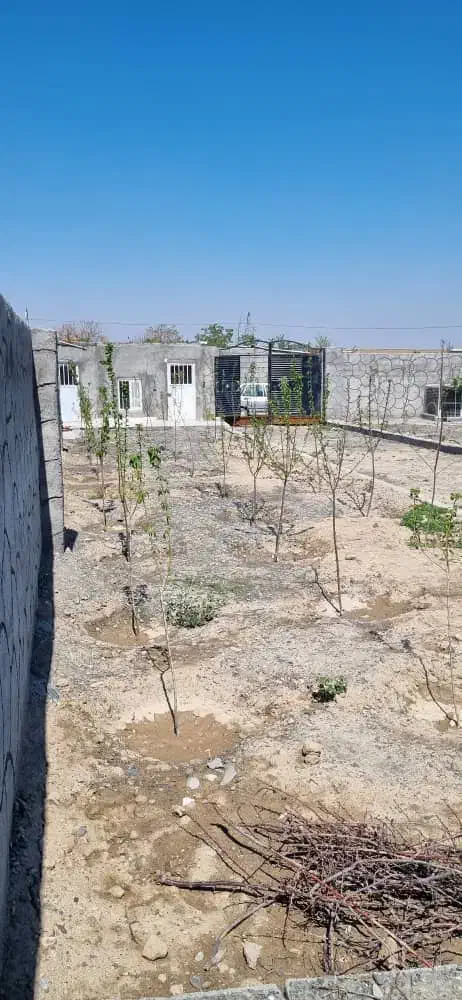 زمین فروشی|فروش خانه و ویلا|گلمکان, |دیوار