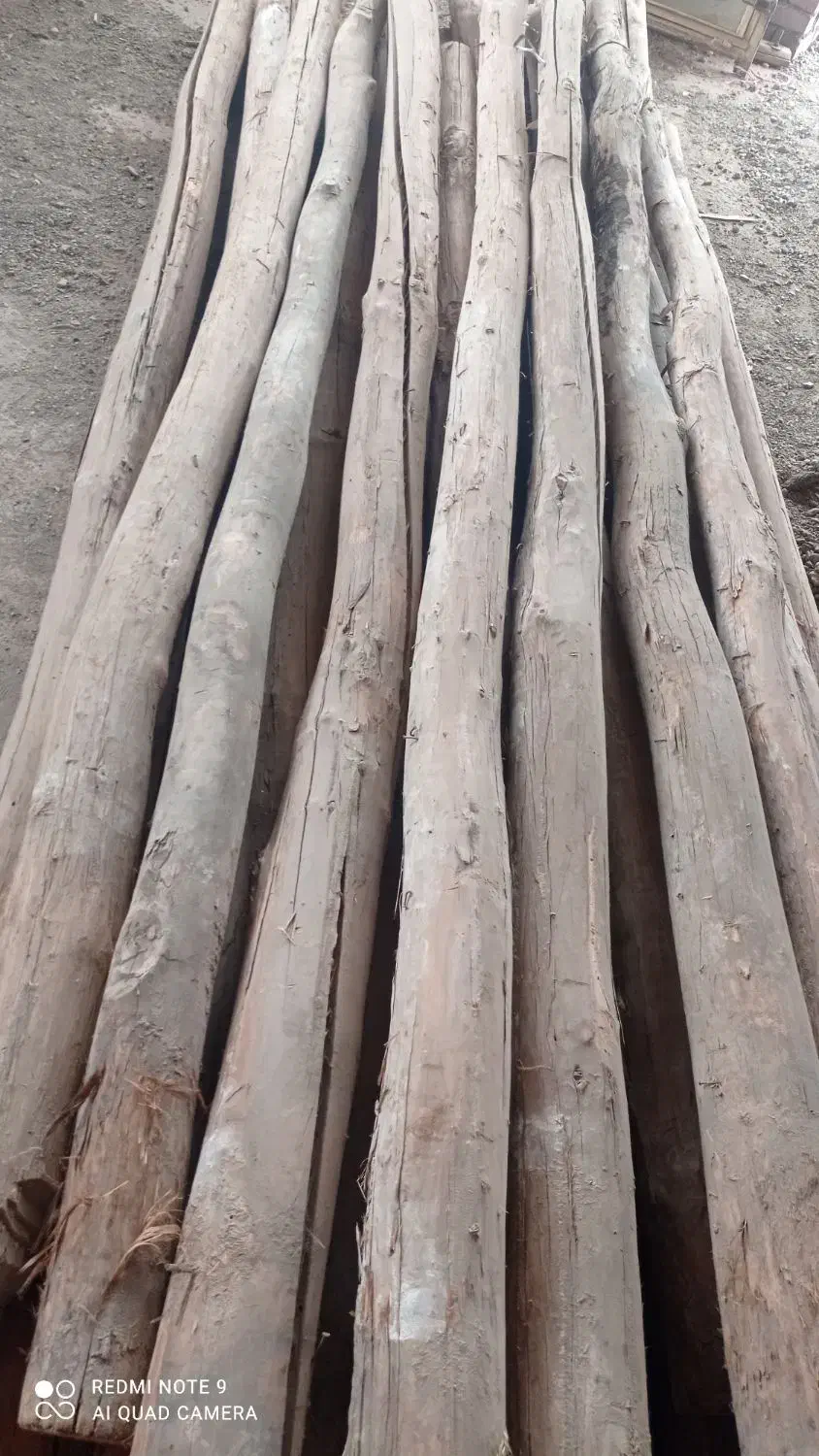 چوب سالم|مصالح و تجهیزات ساختمان|میاندوآب, |دیوار