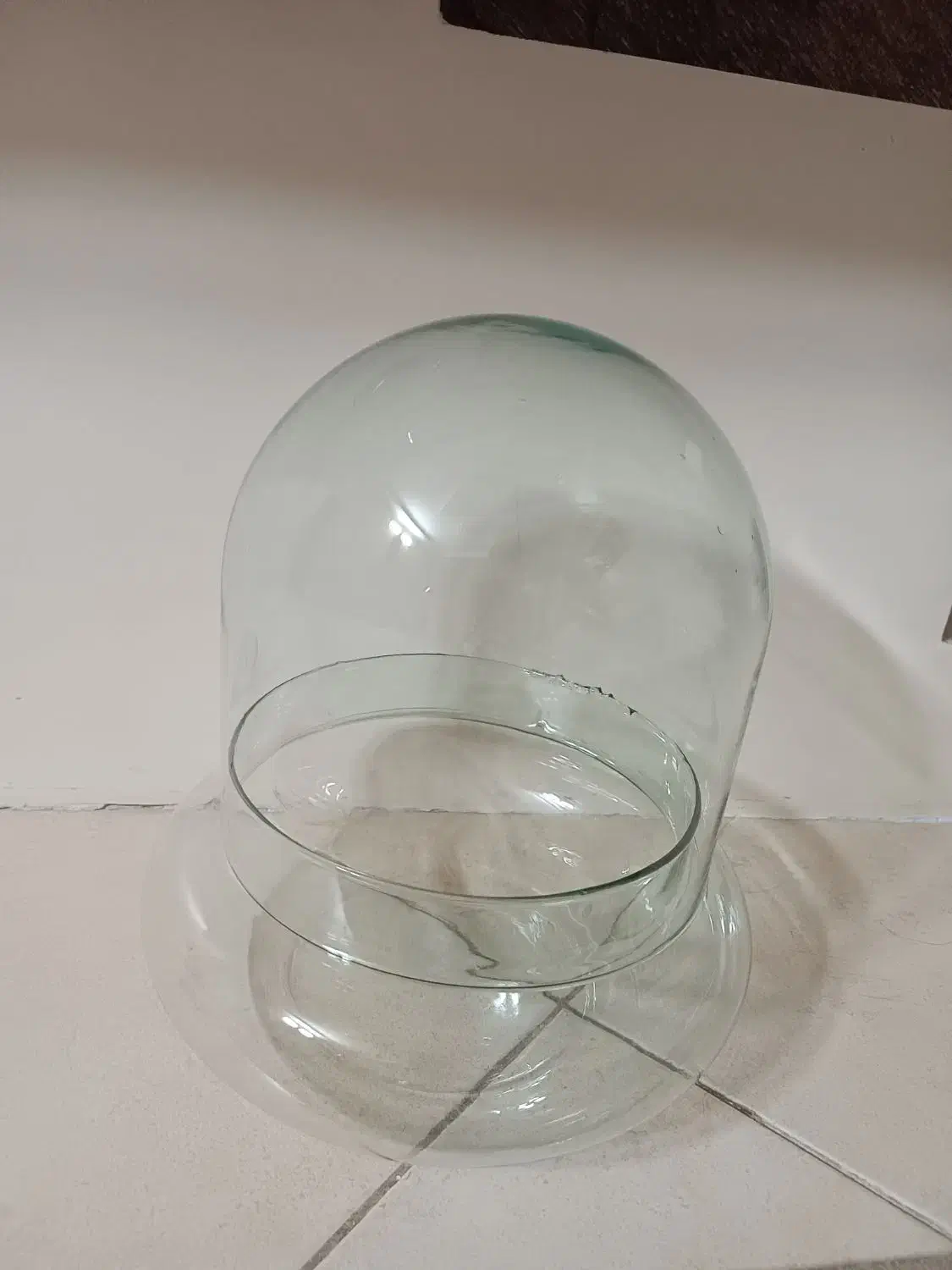 تنگ شیشه ای برای گل با قیمت مناسب|گل و گیاه طبیعی|تهران, شهرک فردوس (حسینی)|دیوار