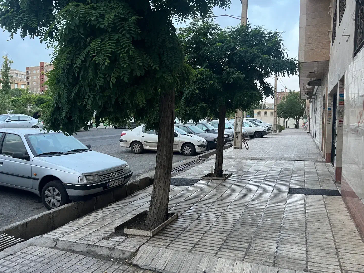 فروش دو آپارتمان ۹۵ متر کمیاب روبروی پارک اردیبهشت|فروش آپارتمان|تهران, علم و صنعت|دیوار