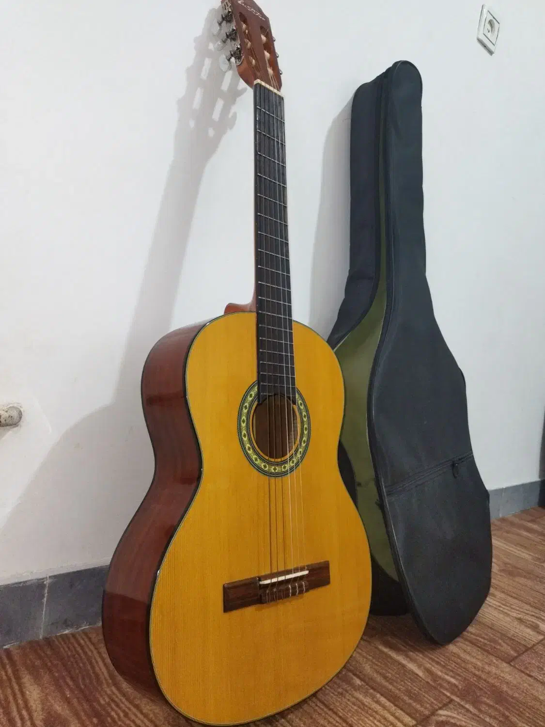 گیتار در حد نو best fun e256|گیتار، بیس، امپلیفایر|کتالم و سادات شهر, |دیوار