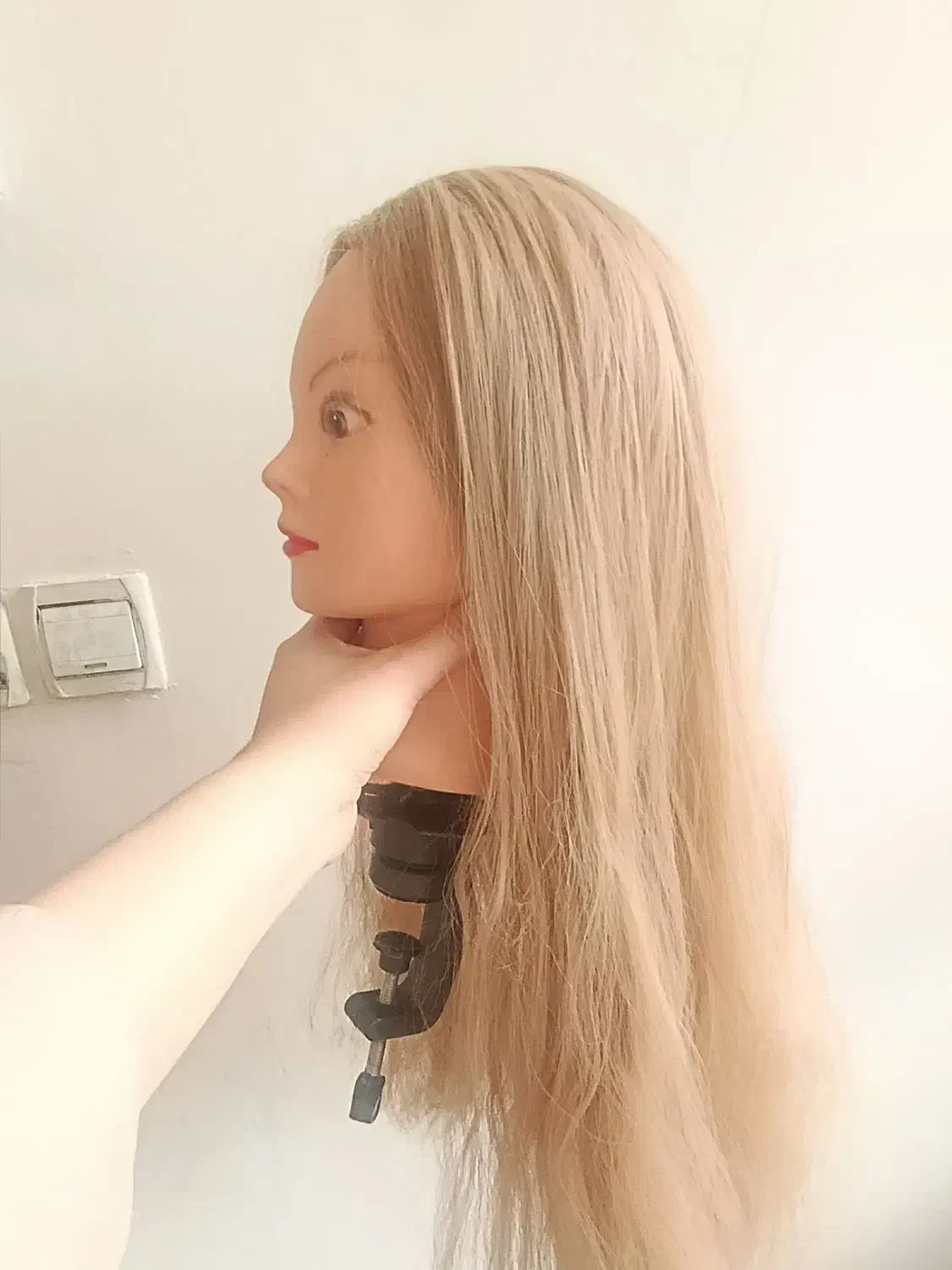 کله مانکن|آرایشگاه و سالنهای زیبایی|مشهد, کارگران|دیوار