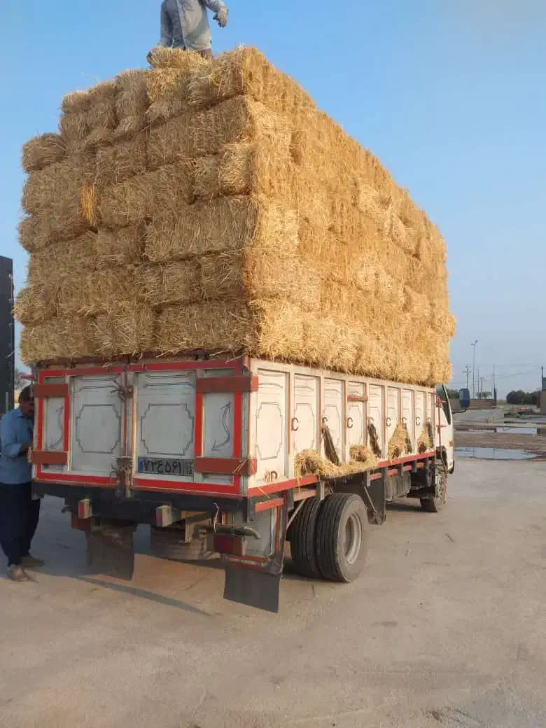 کاه گندم سفال گندم یونجه کاه نیشکرسرشاخه نیشکر|لوازم جانبی حیوانات|اصفهان, آبشار|دیوار