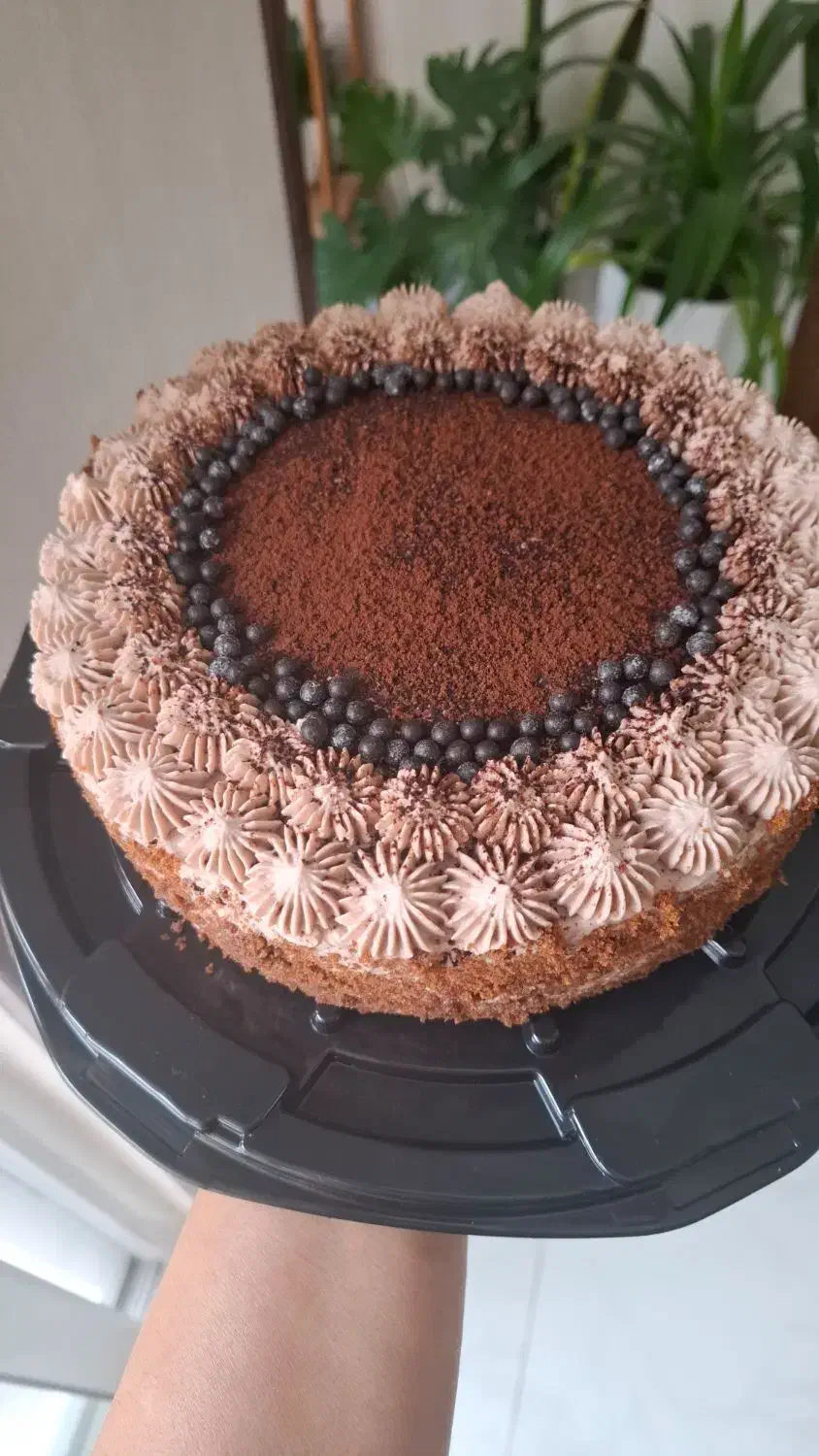 کیک های کافی شاپی خانگی (سفارش گیری)|خوردنی و آشامیدنی|اصفهان, کوی امیریه|دیوار