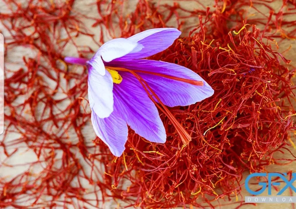 دستگاه خشک کن زعفران|ماشین‌آلات صنعتی|نیشابور, سرآب کوشک|دیوار