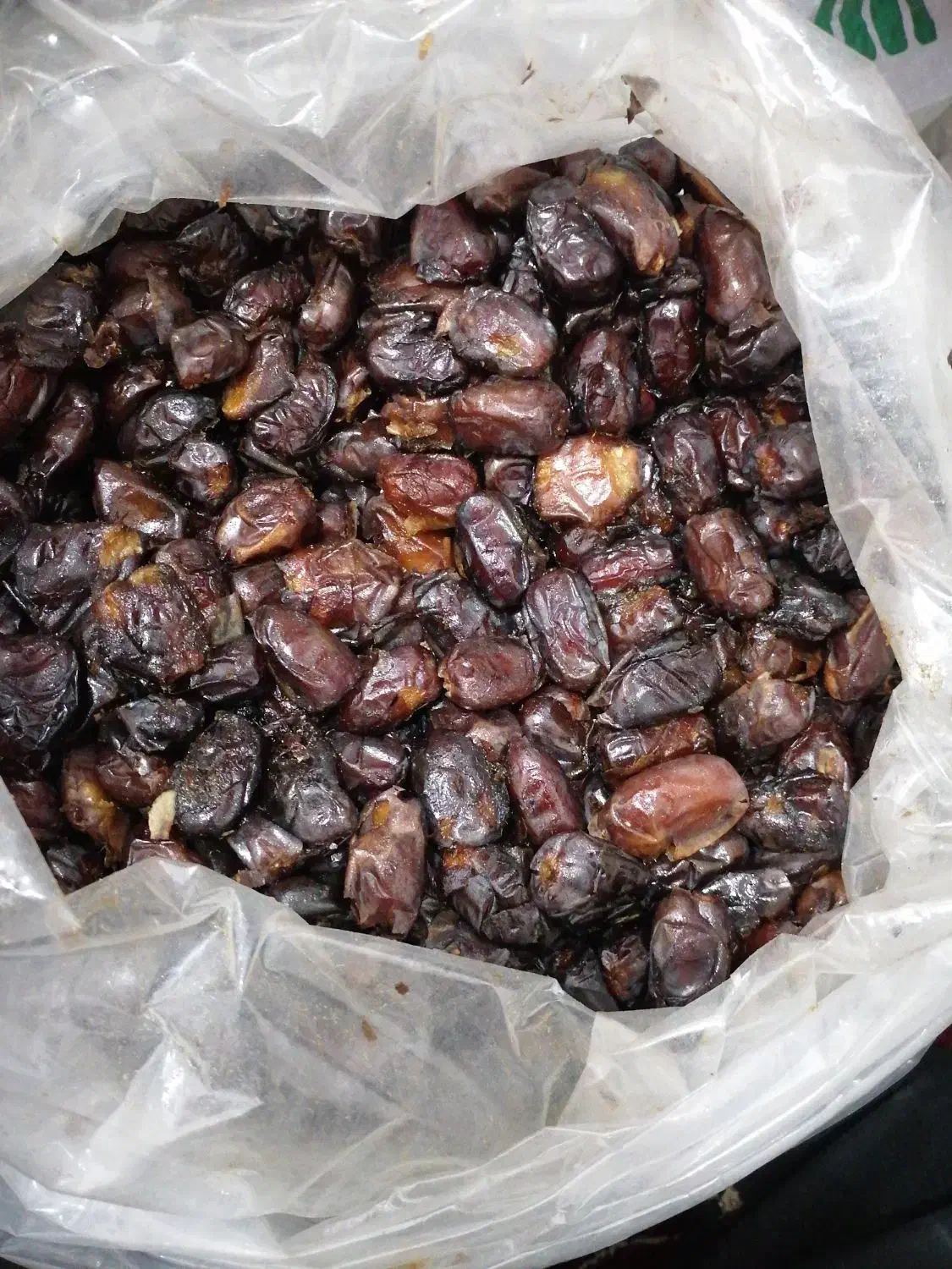 خرما مزویی و شیرخرما|خوردنی و آشامیدنی|لامرد, |دیوار