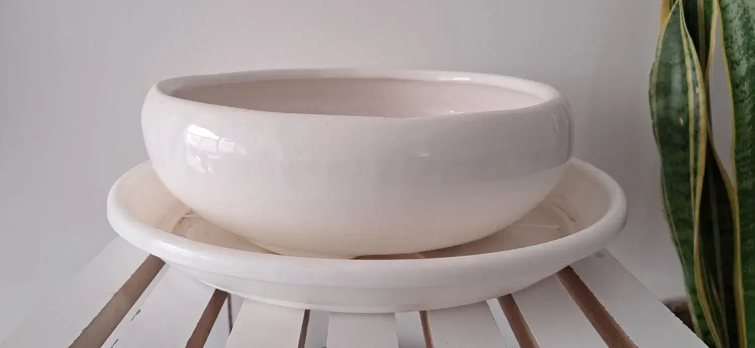 گلدان سرامیکی|گل و گیاه طبیعی|بیرجند, |دیوار