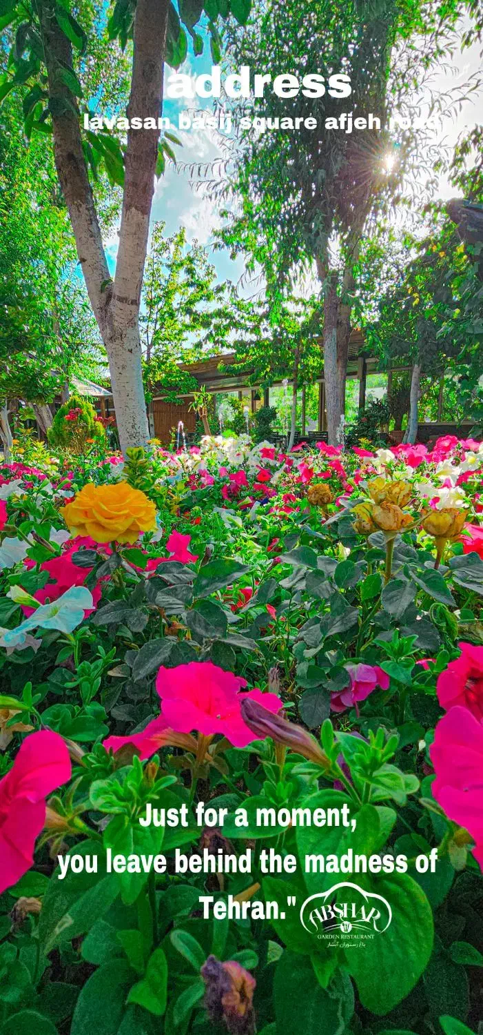 تولید محتوای حرفه ای|خدمات رایانه‌ای و موبایل|تهران, اقدسیه|دیوار