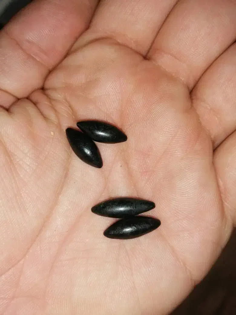 مهره کار گشایی انگشتر موکل دار سر کتاب دعا|کتاب و مجله مذهبی|صدرا-فارس, فاز ۱|دیوار