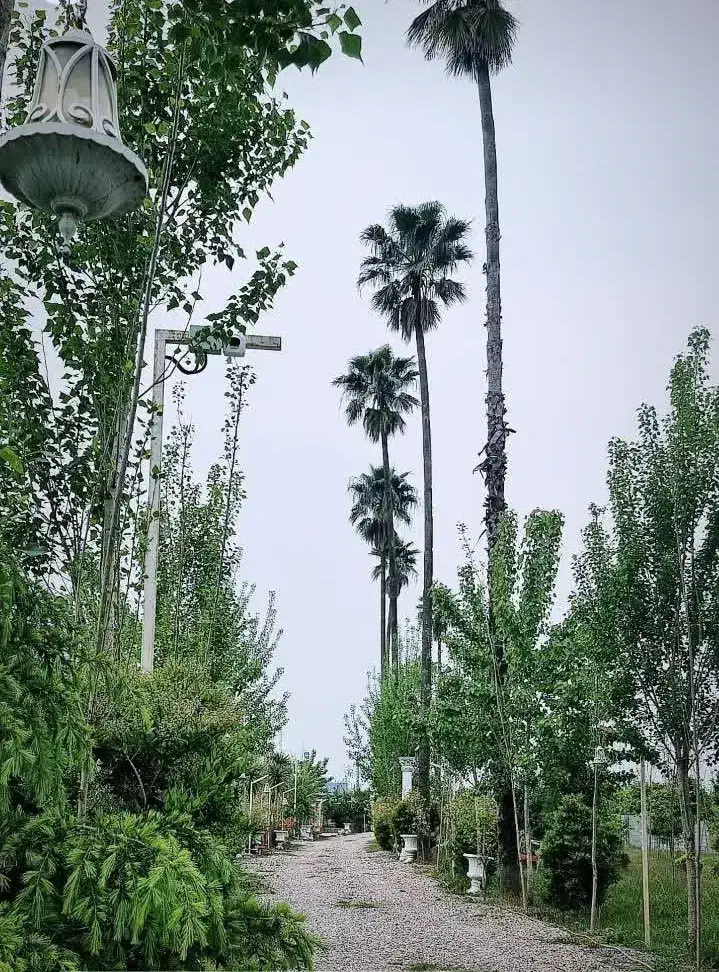 فروش زمین آماده ساخت ۲۵۰ متری|فروش زمین و ملک کلنگی|دابودشت, |دیوار