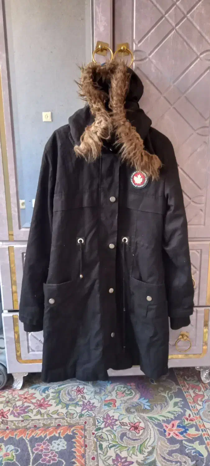 پالتو|لباس|کرمان, |دیوار