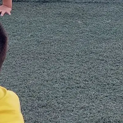 چمن مصنوعی تراکم بالا خارجی|گل مصنوعی|ارومیه, |دیوار