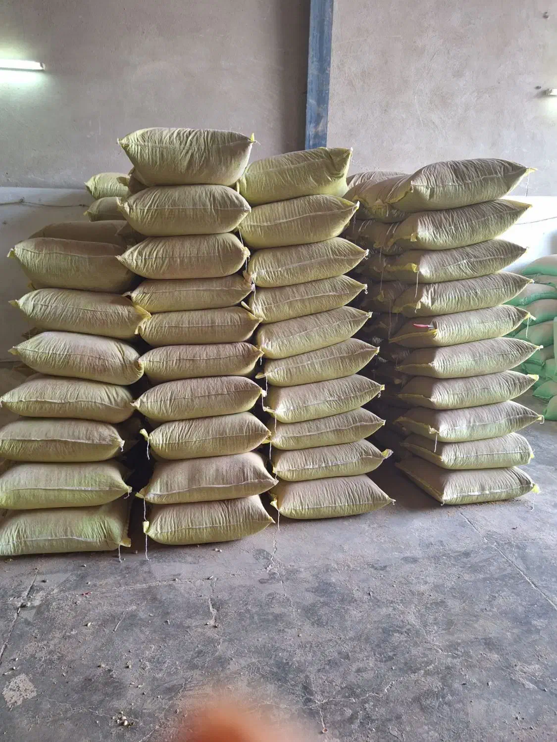 پلت‌های  خوشمزه&برای طیور شما|لوازم جانبی حیوانات|بانه, |دیوار