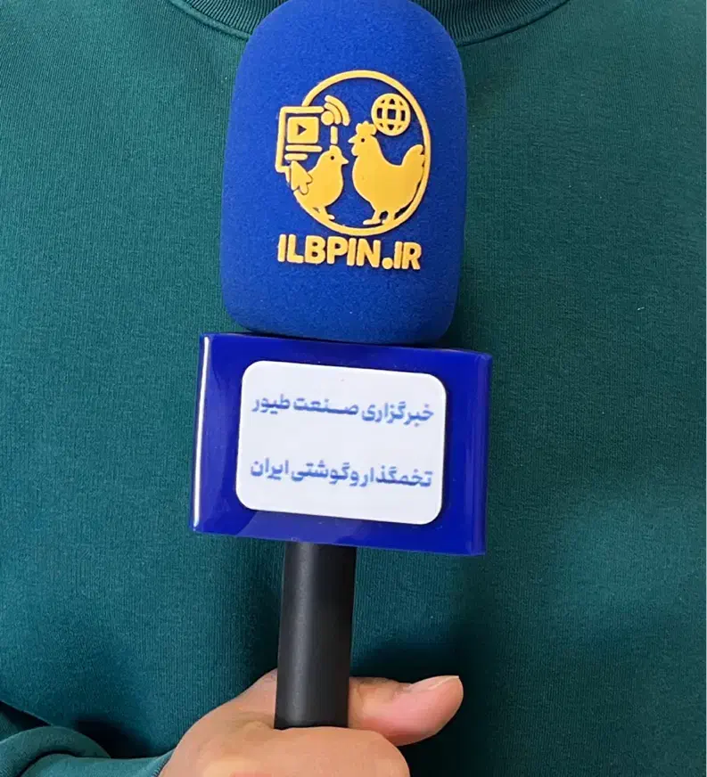 استخدام خبرنگار (مصاحبه‌گر) پروژه‌ای و غیرحضوری|استخدام هنری و رسانه|قم, عمار یاسر|دیوار