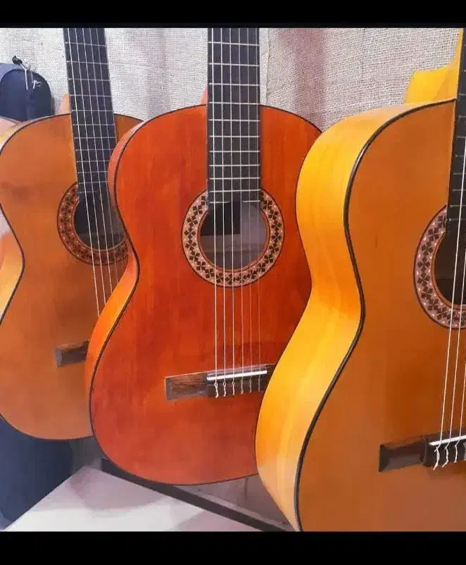 فروش انواع گیتار حرفه ای /|گیتار، بیس، امپلیفایر|شیراز, لب آب|دیوار