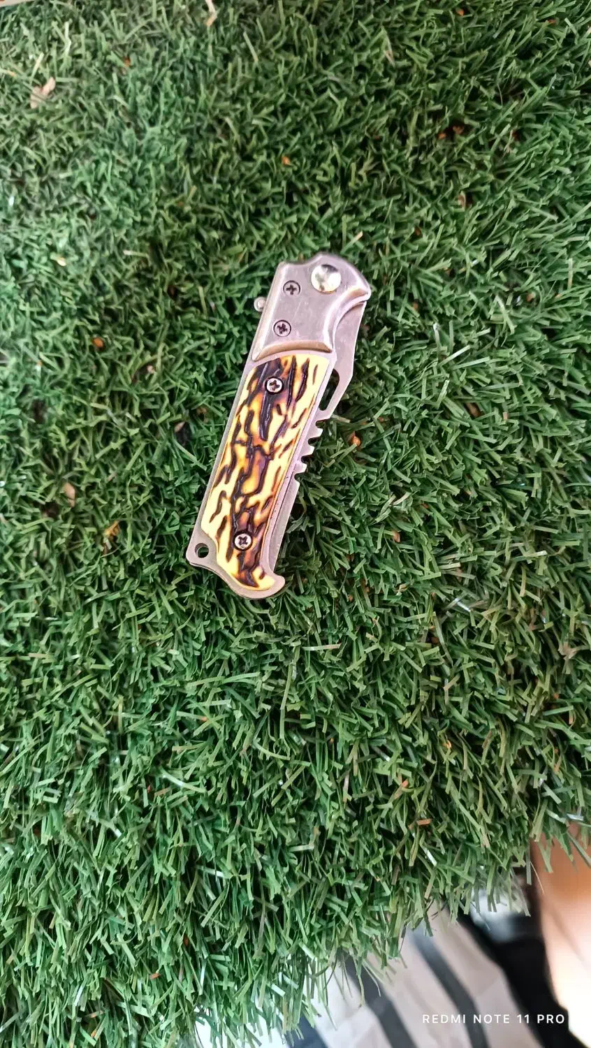 چاقو زامن دار لجنی|کوهنوردی و کمپینگ|سقز, |دیوار