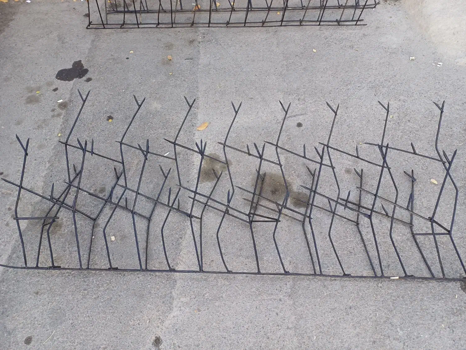 حفاظ های بوته ای و شاخ گوزنی co2|خدمات پیشه و مهارت|گلبهار, شهر جدید گلبهار|دیوار