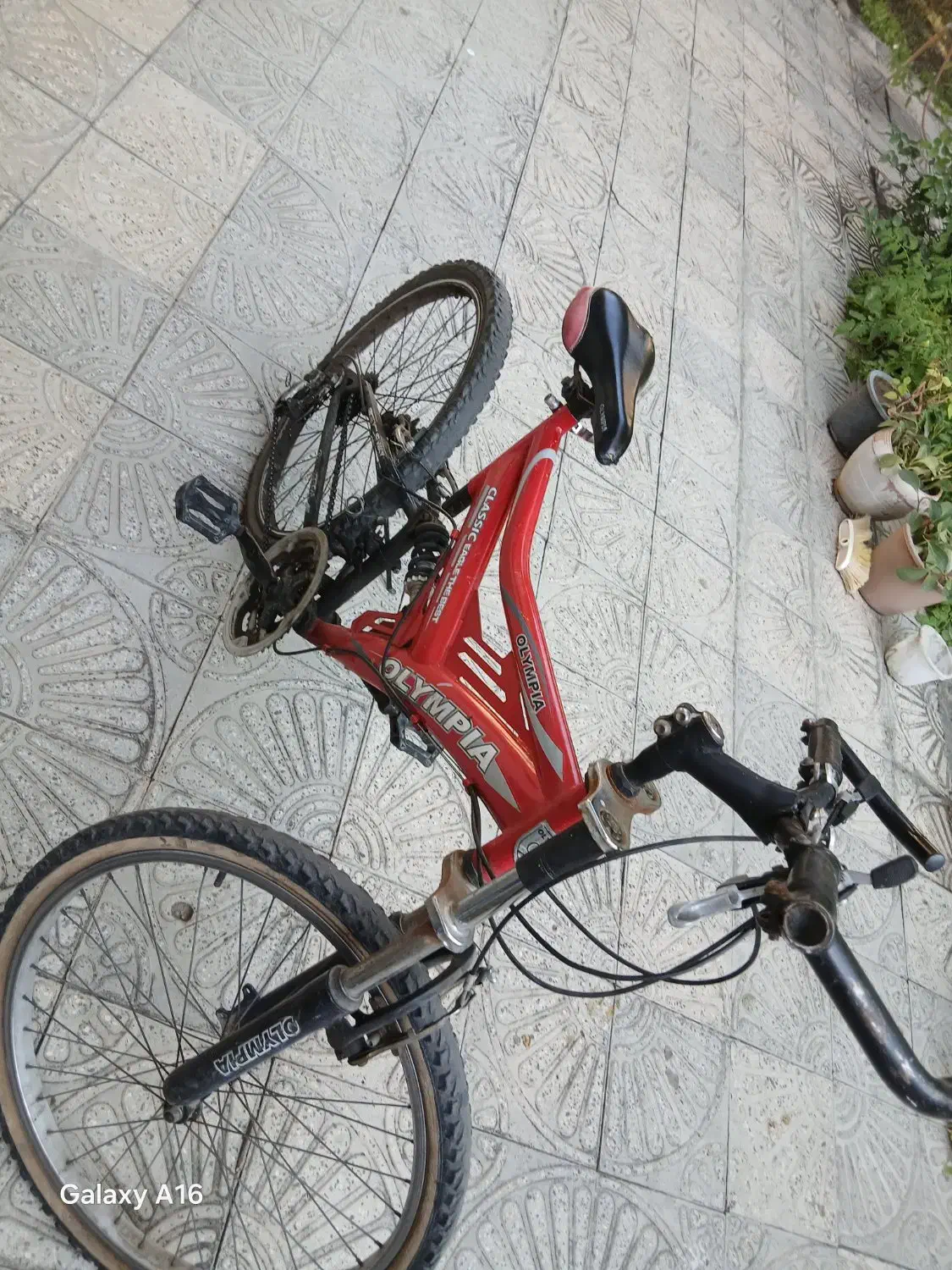 دوچرخه|دوچرخه، اسکیت، اسکوتر|مرند, |دیوار